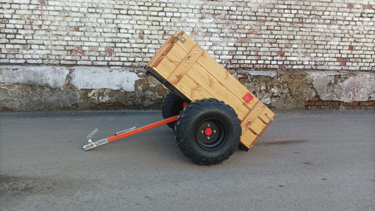 photo_2025-03-20_12-20-18