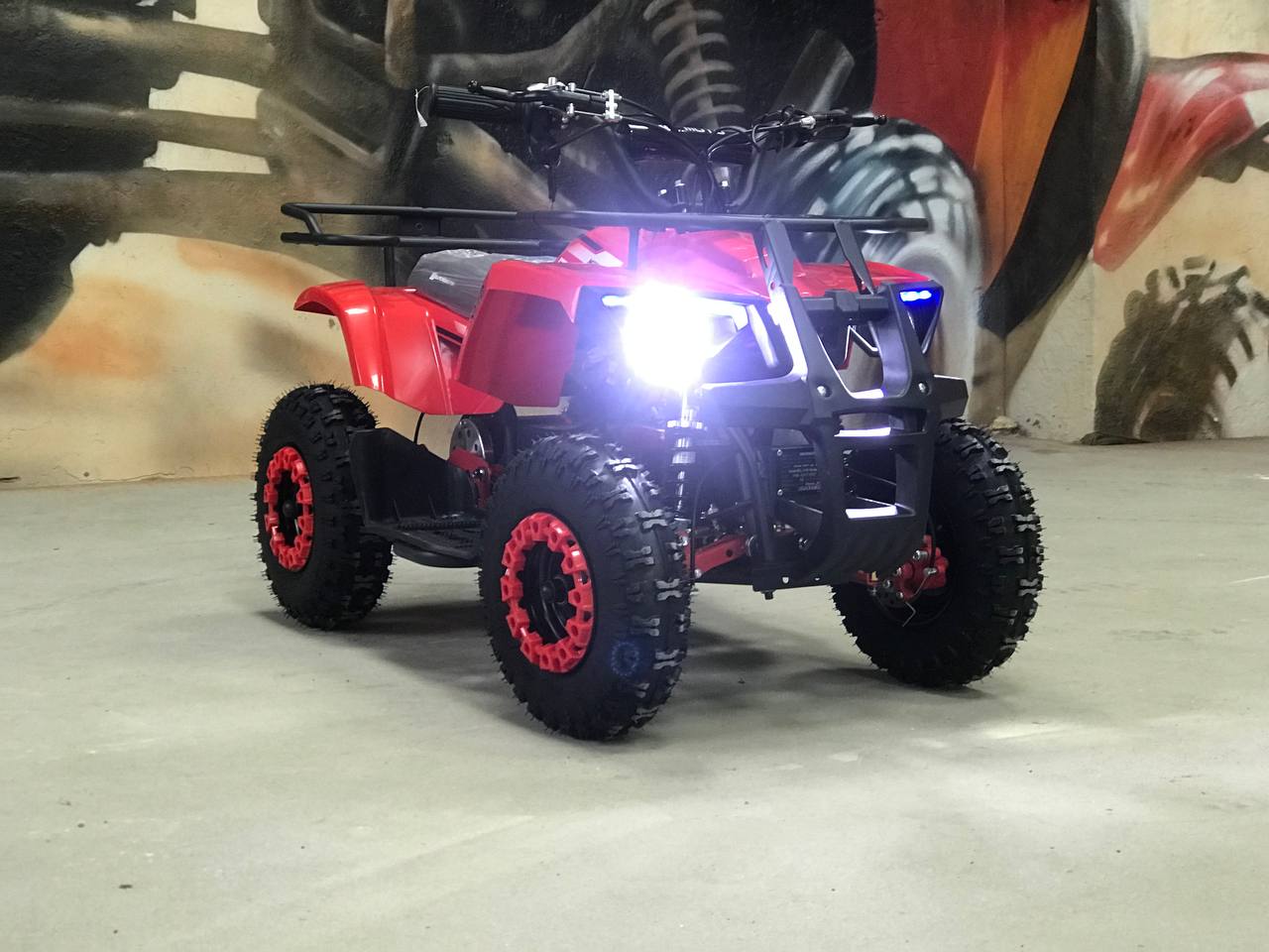 photo_2025-01-11_10-28-38