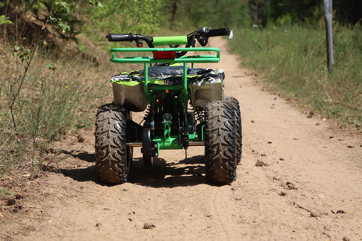 qmc-quad-eco-marsik-48v-1000w-3