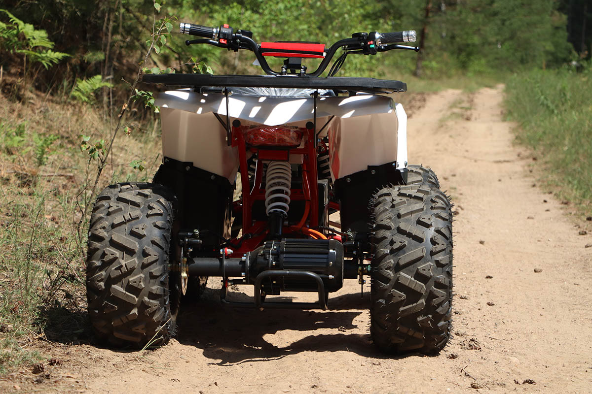 qmc-quad-eco-maverick-1500w-3