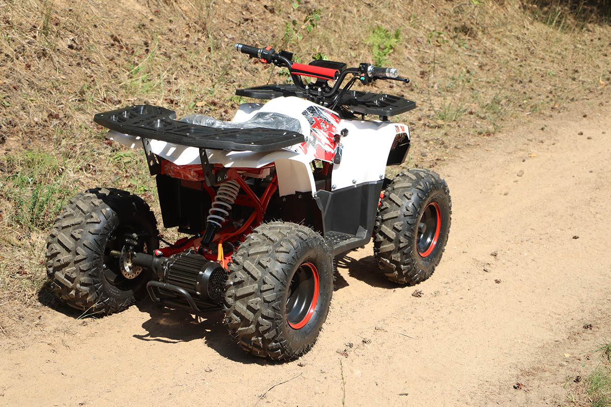 qmc-quad-eco-maverick-1500w-4