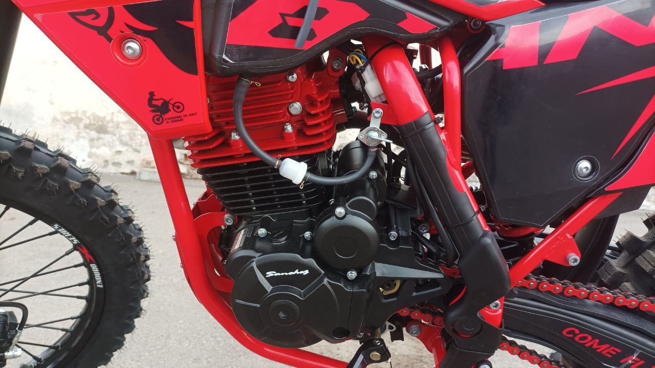 photo_2025-03-05_12-58-07