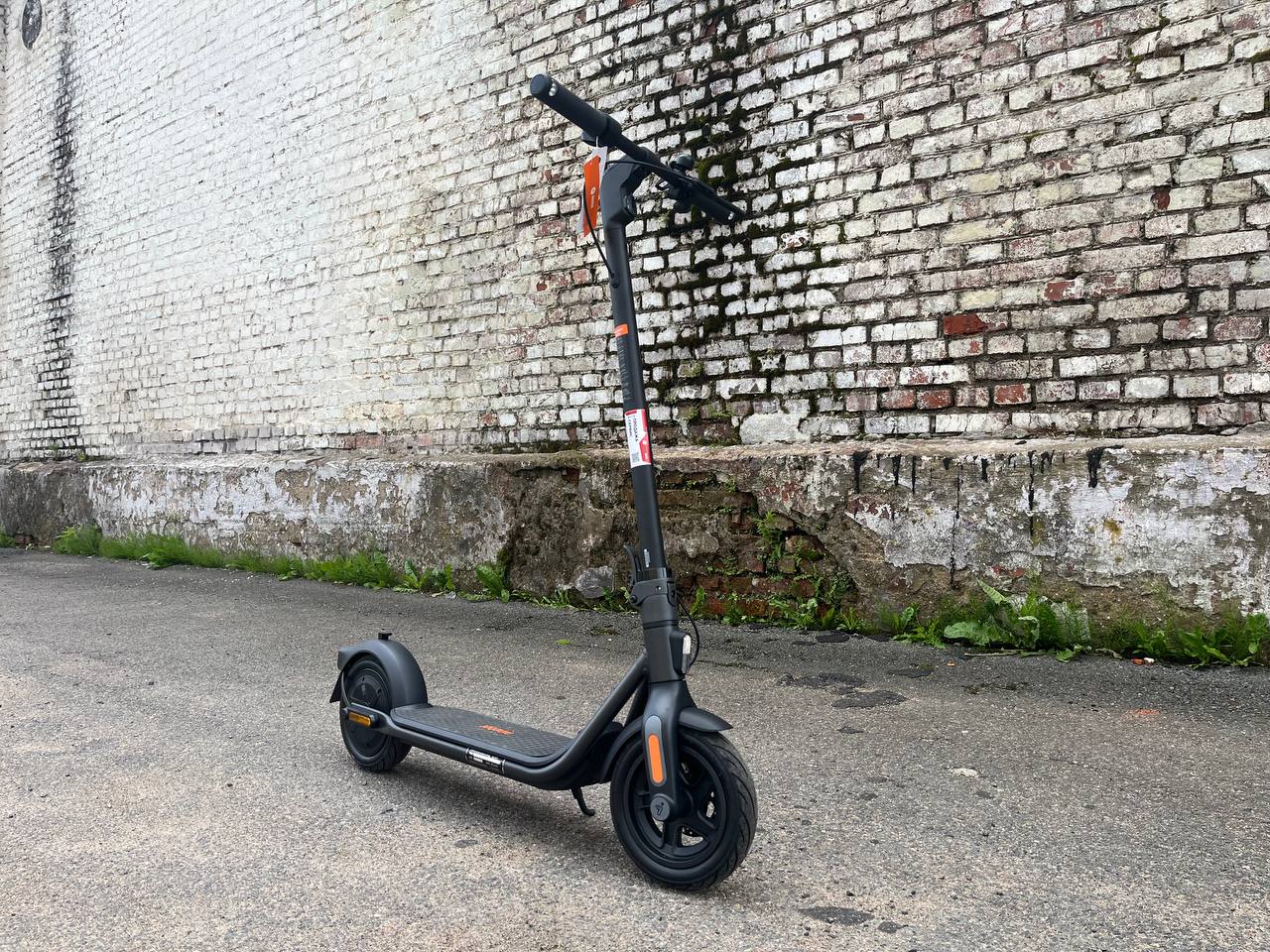 photo_3_2025-07-04_13-51-30