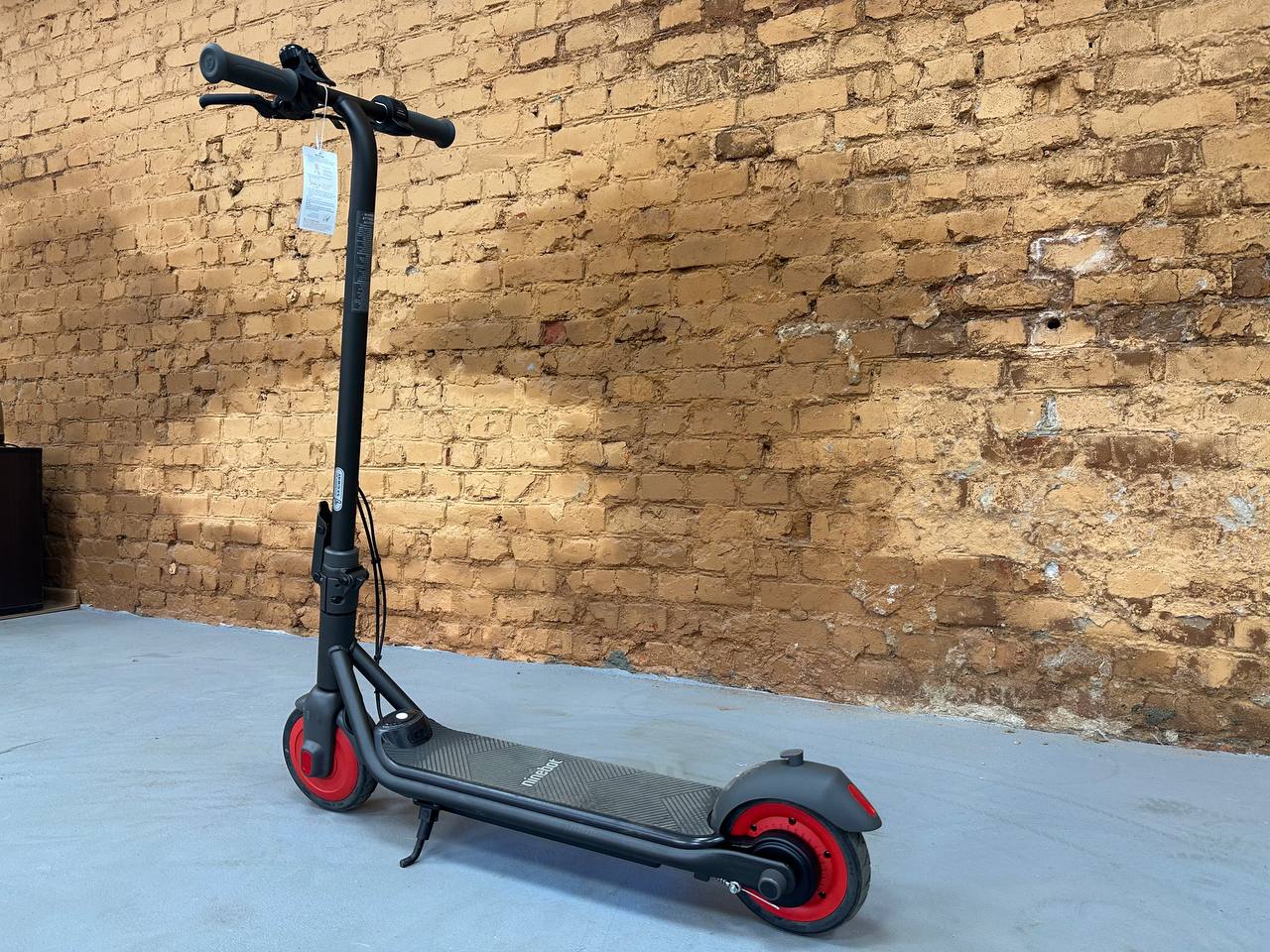 photo_15_2025-06-23_11-03-54