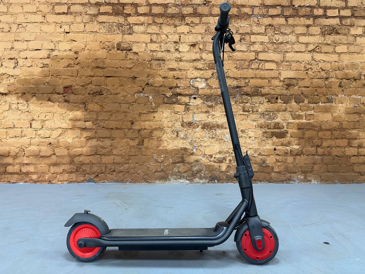 photo_19_2025-06-23_11-03-54