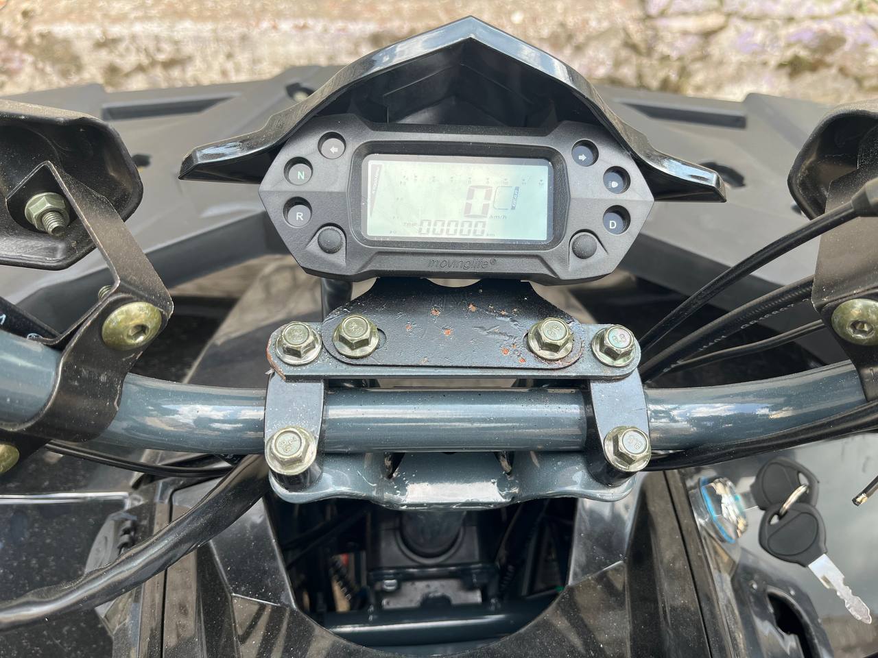 photo_12_2025-06-18_10-15-10